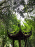 英科醫(yī)療（INTCO）一次性手套丁腈手套特大碼100只廚房家務(wù)耐用檢查橡膠丁晴手套 曬單實(shí)拍圖