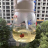 仁和山楂決明子荷葉茶男女體脂搭白芥子陳皮茯苓冬瓜茶刮去油肚子3盒 曬單實(shí)拍圖