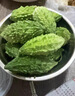 新鮮小苦瓜現(xiàn)摘可生吃播當(dāng)季山苦瓜農(nóng)家野生泰式苦瓜特色蔬菜鮮果 2斤 曬單實(shí)拍圖