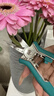 園藝剪刀 剪樹(shù)枝剪刀果樹(shù)花藝剪園林工具綠化剪省力修枝剪 春悅·玲瓏直剪 曬單實(shí)拍圖