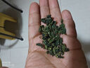 桑葉茶新鮮霜后桑葉茶袋裝非特級(jí)血壓血糖血脂降桑葚子葉天然新貨 【正品】桑葉茶500克（一斤裝） 曬單實(shí)拍圖
