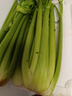 【瘦身減脂】山東大西芹水果西芹去葉新鮮蔬菜新鮮榨汁 帶箱：5斤 曬單實拍圖