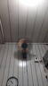 長城（CHANGCHENG）電風(fēng)扇機(jī)械壁扇掛壁風(fēng)扇搖頭壁掛電扇居家辦公餐廳商用電扇大風(fēng)量墻壁扇交流定頻風(fēng)扇FW-35 曬單實(shí)拍圖