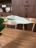 綠有意白掌盆栽一帆風(fēng)順?biāo)嘀参锸覂?nèi)好養(yǎng)花卉綠植水養(yǎng)四季開花植物盆栽 【帶花發(fā)貨】白掌6-8株(原土盆) 含盆 曬單實拍圖