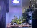 YEE水草飛碟燈爆藻草缸燈led全光譜支架吊燈筒燈防魚(yú)缸燈植物生長(cháng)燈 【智能飛碟燈100w-環(huán)形透鏡-9種顏色】 曬單實(shí)拍圖