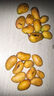 小臺農(nóng)芒果新鮮小臺芒應(yīng)季水果現(xiàn)摘精品超甜熱帶芒果產(chǎn)地直發(fā) 3斤裝單果90g起 曬單實拍圖