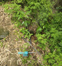 無線鋰電池顯數(shù)PPR充電式熱熔機水管PE工程焊接機 228F兩電一充20mm-63mm燙頭 曬單實拍圖