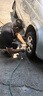 朝陽輪胎 汽車輪胎 185/65R14 86H RP18 適配別克凱越/長城M1 曬單實拍圖