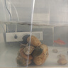 森森魚缸過濾器三合一內(nèi)置小型水族箱過濾系統(tǒng)增氧泵XQP-1000F 15W 曬單實拍圖