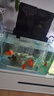 boxtech魚缸過濾器滴流盒魚池水族箱上過濾滴流槽三合一過濾器頂濾上濾盒 【套餐】滴流盒3層6盒+22W水泵 曬單實拍圖