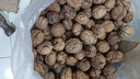 云南今年新貨野生老樹核桃紙皮薄皮孕婦黑桃薄殼干黑桃零食無漂 云南新貨薄皮核桃5斤-老品種大果 曬單實(shí)拍圖