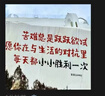貝親貝親桃葉精華嬰兒滾珠爽身露寶寶桃子水新生液體爽身粉洗發(fā)沐浴露 50g 1瓶 桃葉精華嬰兒冰感面霜 曬單實(shí)拍圖