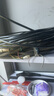 正泰（CHNT）電線電纜ZC-YJV3*2.5三芯6平方10平方充電樁電纜線低壓阻燃銅芯線 ZC-YJV 3*2.5 (C級阻燃) 50米 曬單實拍圖