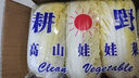 云南高原娃娃菜新鮮蔬菜生鮮乾隆白菜早餐火鍋必備產(chǎn)地直發(fā) 淺黃色 新鮮娃娃菜3顆裝*2包 曬單實拍圖