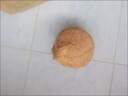 果坊情海南老椰子毛椰子煲湯當(dāng)季水果新鮮椰子熱帶生鮮椰子榨汁源頭直發(fā) 4個(gè)裝 曬單實(shí)拍圖