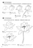 白描畫譜5000例中篇《禽鳥走獸》勾線描荷花卉臨摹圖譜書籍手繪自學(xué)零基礎(chǔ)初學(xué)者技法入門到精通工筆高清教程 曬單實(shí)拍圖