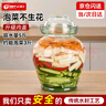 天喜（TIANXI）泡菜壇子加厚玻璃大容量透明家用腌菜咸菜缸酸菜罐糖蒜壇 5斤泡菜壇子 曬單實(shí)拍圖