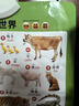 【兩面都可以讀】小海豚啟蒙必備掛圖 立體雙面有聲版 動(dòng)物世界數字英語(yǔ)漢語(yǔ)拼音 海豚低幼館益智游戲少兒 寶寶嬰幼兒童啟蒙早教認知書(shū)學(xué)習神器墻貼 6面（動(dòng)物/恐龍+漢語(yǔ)拼音1/2+交通/汽車(chē)標志） 曬單實(shí)拍圖