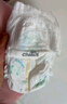 雀氏（Chiaus）噸噸安睡拉拉褲6XL22片嬰兒尿褲大寶專用【品牌直供 安心品質(zhì)】 曬單實(shí)拍圖