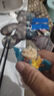 即食魷魚仔帶籽海鮮魚仔解饞休閑零食熟食獨(dú)立包裝開袋即食 麻辣味 5個(gè) 曬單實(shí)拍圖