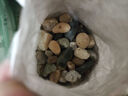 天然原生態(tài)溪流石底砂魚缸專用過濾鵝卵石小石頭龜缸造景裝飾底砂 4-8mm【200g裝】 天然溪流石 曬單實(shí)拍圖