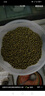沐谷 東北綠豆量販5斤裝 可發(fā)豆芽薄皮綠豆沙綠豆湯解暑原料 曬單實拍圖
