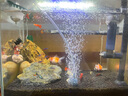 森森魚缸增氧泵水族箱氧氣泵LQE-100家用小型充氧泵4W單孔+全套配件 曬單實拍圖