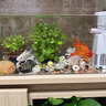 JCZS德國魚缸過濾器凈水循環(huán)三合一水泵小型氧氣泵增氧制氧一體機吸糞 高品質(zhì) 黑科技 4W四合一過濾器 【20-30CM 曬單實拍圖