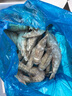 天縱良材 巨型黑虎蝦 大蝦類新鮮老虎蝦 斑節(jié)蝦對(duì)蝦 印度洋鮮活急凍 禮盒 巨型黑虎蝦21-25只 2.7斤(凈重) 曬單實(shí)拍圖