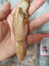 靈略 去殼去沙新鮮大號(hào)蟶子肉 花甲 花蛤 蛤蜊海鮮凈重2斤生鮮 貝類 曬單實(shí)拍圖