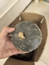 粵迎山東貝貝南瓜板栗口感源頭直發(fā)香甜兒童輔食美味粗糧新鮮蔬菜生鮮 5斤 手挑裝【粉糯香甜】?jī)?.5斤 曬單實(shí)拍圖
