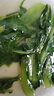 魯花菜籽油 低芥酸  特香壓榨一級  食用油  非轉(zhuǎn)基因 純菜油 濃香 物理壓榨 低芥酸 特香 5.78L*1桶 曬單實拍圖