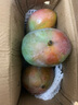 集南鮮 攀枝花凱特芒果 現(xiàn)摘熱帶新鮮生鮮水果整箱青黃皮大芒果 凈重4.5甄選大果 單果600起 曬單實拍圖