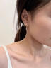 戚小米韓國夸張耳環(huán)女款耳釘2025款潮氣質(zhì)耳墜網(wǎng)紅個(gè)性高級感耳飾品 氣質(zhì)耳釘一對 曬單實(shí)拍圖