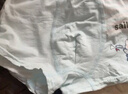 棉奇熊男童內褲4條裝兒童純棉四角短褲寶寶中大童男孩男小童平角褲95%棉 恐龍樂園-精梳純棉無骨款- 4條 140 -2XL碼【體重55-65斤】 曬單實拍圖