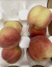 京鮮生  山西水蜜桃 凈重4.5斤 單果150g+ 生鮮水果 源頭直發(fā)  曬單實(shí)拍圖
