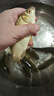 川澤無結(jié)快鎖線組成品主線套裝日本進(jìn)口魚線主線強(qiáng)拉力綁好競技線組 4.5m 【4卷裝】+收納盒剪刀 1.2號(hào) 曬單實(shí)拍圖