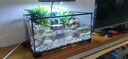 西游水族烏龜缸超白玻璃生態(tài)造景龜魚缸一體混養(yǎng)生態(tài)缸客廳專用家用飼養(yǎng)缸 50雨林豪華全套【缸+做好成品發(fā)貨+設(shè)備】 曬單實(shí)拍圖