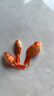 紅金魚活魚觀賞魚小金魚活體魚苗小苗魚招財魚風水魚淡水魚冷水魚 【三陽開泰】3條5-8CM招財紅金魚 曬單實拍圖