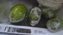 正宗云南香水檸檬新鮮無籽一級果現(xiàn)摘現(xiàn)發(fā)手打檸檬奶茶店專用青檸 2斤 曬單實(shí)拍圖