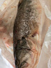 鮮活沖浪河鱸魚400-500g/條 曬單實拍圖