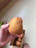 京喜加新鮮黃心土豆農(nóng)家自種黃皮馬鈴薯黃心洋芋新鮮蔬菜 2斤 曬單實拍圖