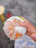 閩域尋鮮云南蜜桔【現(xiàn)貨速發(fā)】青皮蜜橘子酸甜口感特早熟桔子當季新鮮水果 凈重2.5-3斤50MM+【嘗鮮裝】 曬單實拍圖