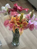 鐘愛(ài)（love）云南昆明鮮花基地直發(fā)紅玫瑰花斗南直批家庭水養玫瑰花活動(dòng) 愛(ài)莎/紅袖玫瑰（16支+4支防損耗） 曬單實(shí)拍圖