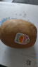 佳沛（zespri）新西蘭  陽光金奇異果25-27粒原箱特大果單果約122-146g  獼猴桃 曬單實拍圖