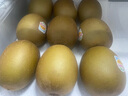 佳沛（zespri）新西蘭  陽(yáng)光金奇異果10粒禮盒巨大果單果約144-175g 水果 獼猴桃 曬單實(shí)拍圖