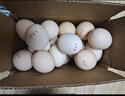喜蛋哥蟲(chóng)草蛋吃蟲(chóng)子草新鮮雞蛋農(nóng)家散養(yǎng)谷物雞蛋營(yíng)養(yǎng)溏心蛋生鮮買菜早餐 30枚蟲(chóng)草蛋 曬單實(shí)拍圖