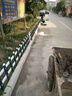 PVC塑鋼草坪地護欄綠化帶花壇菜校園林池圃柵欄塑料小區圍欄籬笆 草綠色70厘米高 曬單實(shí)拍圖