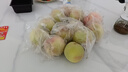 同甘園水蜜桃 現(xiàn)摘新鮮當季應(yīng)季時令水果整箱山西桃子脆甜軟硬兩吃 整箱5斤 約14-16個 凈重4.5斤 曬單實拍圖