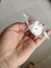 好來屋3D小熊貓頭型棉花糖兒童棉花糖動物棉花糖烘焙裝飾蛋糕卡通糖果 萌小兔100g【10只裝】 曬單實拍圖
